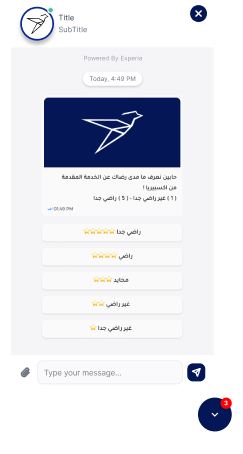 Interactive Surveys
