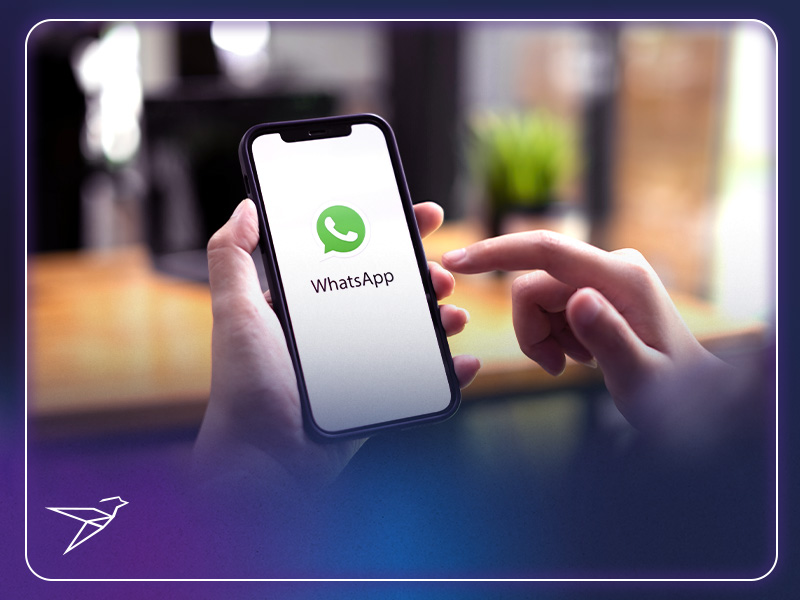 أمثلة على حملات ناجحة عبر WhatsApp
